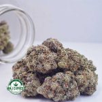 Buy Cannabis White Fire OG AAAA at MMJ Express Online Shop