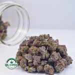 Buy Cannabis Purple Gasoline AAAA (Popcorn Nugs) at MMJ Express Online Shop