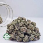 Buy Cannabis White Russian Cream AAAA (Popcorn Nugs) MMJ Express Online Shop