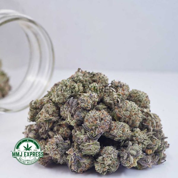 Buy Cannabis White Russian Cream AAAA (Popcorn Nugs) MMJ Express Online Shop