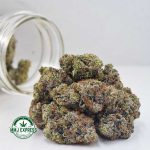 Buy Cannabis Tom Ford Pink Kush AAAA+, Craft at MMJ Express Online Shop