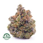 Buy Cannabis Pink Kush AAA at MMJ Express Online Shop