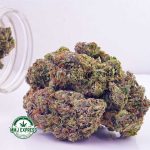 Buy Cannabis Pink Kush AAA at MMJ Express Online Shop
