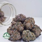 Buy Cannabis Grape Crush AAAA at MMJ Express Online Shop