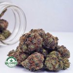 Buy Cannabis Galactic Death Star AAAA at MMJ Express Online Shop