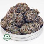 Buy Cannabis Grape Stomper AAAA at MMJ Express Online Shop