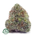 Buy Cannabis Laughing Buddha Craft, AAAA+ at MMJ Express Online Shop