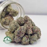Buy Cannabis Laughing Buddha Craft, AAAA+ at MMJ Express Online Shop