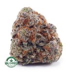 Buy Cannabis Alaskan Thunder Fuck AAAA at MMJ Express Online Shop