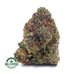 Buy Cannabis Durban Poison AAA at MMJ Express Online Shop