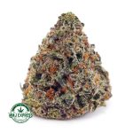 Buy Cannabis Gorilla Cookies AAA at MMJ Express Online Shop