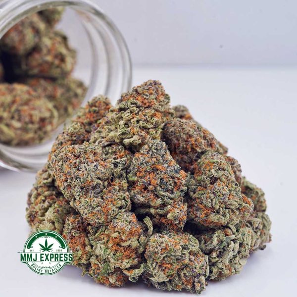 Buy Cannabis Gorilla Cookies AAA at MMJ Express Online Shop
