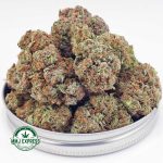 Buy Cannabis Strawberry Bomb AAA at MMJ Express Online Shop