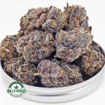 Buy Cannabis Purple Tropicana AAAA at MMJ Express Online Shop