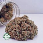 Buy Cannabis Peaches & Cream AA at MMJ Express Online Shop