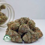 Buy Cannabis UK Cheese AAA at MMJ Express Online Shop