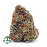 Buy Cannabis London Poundcake AAA at MMJ Express Online Shop