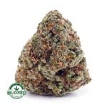 Buy Cannabis Astro Cookies AAA at MMJ Express Online Shop