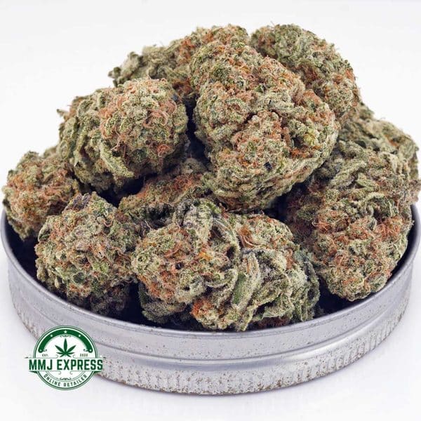 Buy Cannabis Astro Cookies AAA at MMJ Express Online Shop