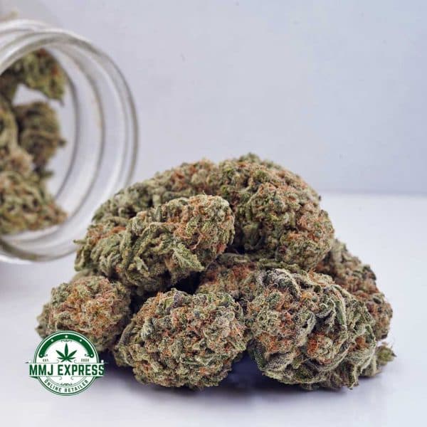 Buy Cannabis Astro Cookies AAA at MMJ Express Online Shop