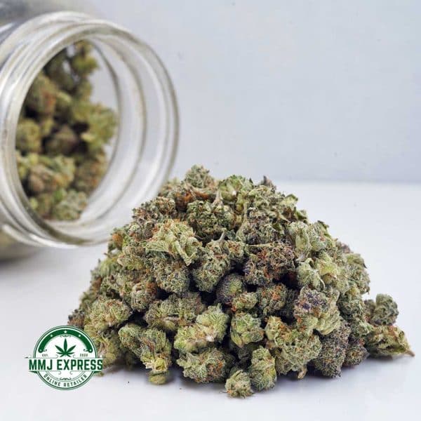 Buy Cannabis Russian Cream AAAA (Popcorn Nugs) MMJ Express Online Shop