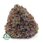 Buy Cannabis Pink Bubba AAA at MMJ Express Online Shop
