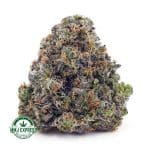Buy Cannabis El Jefe AAAA at MMJ Express Online Shop