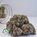 Buy Cannabis El Jefe AAAA at MMJ Express Online Shop