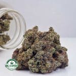 Buy Cannabis Diablo Death Bubba AAAA at MMJ Express Online Shop