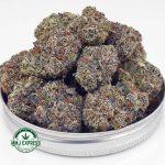 Buy Cannabis Fucking Incredible AAAA+, Craft at MMJ Express Online Shop