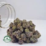 Buy Cannabis Tuna Kush AAAA (Popcorn Nugs) MMJ Express Online Shop
