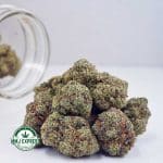 Buy Cannabis Supreme Pineapple Cake AAAA+, Craft at MMJ Express Online Shop