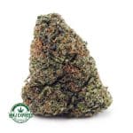 Buy Cannabis Gorilla Glue #4 AAA at MMJ Express Online Shop