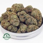 Buy Cannabis Gorilla Glue #4 AAA at MMJ Express Online Shop
