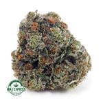 Buy Cannabis Platinum Pink AAAA at MMJ Express Online Shop