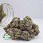 Buy Cannabis Platinum Pink AAAA at MMJ Express Online Shop