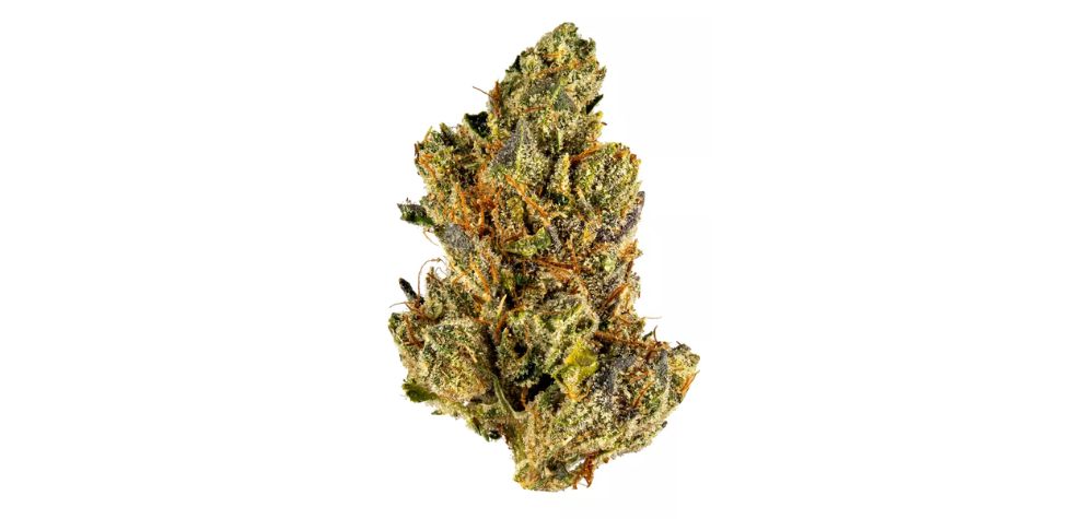 In most cases, it contains 20 to 25 percent THC, but sometimes this number climbs even higher. If you are interested in the most potent version of this Indica, always buy cannabis online from a reputable source.