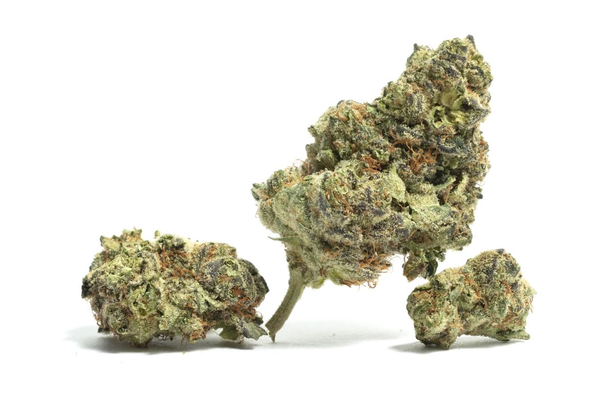 Why is the Fire OG strain one of Canada’s best Indicas? Find out what makes this premium weed unique & what the high feels like in this overview!