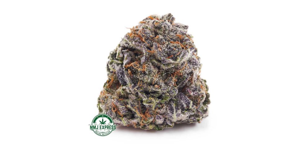 The Granddaddy Purple strain of weed is an iconic cultivar loved by stoners all around the world. 