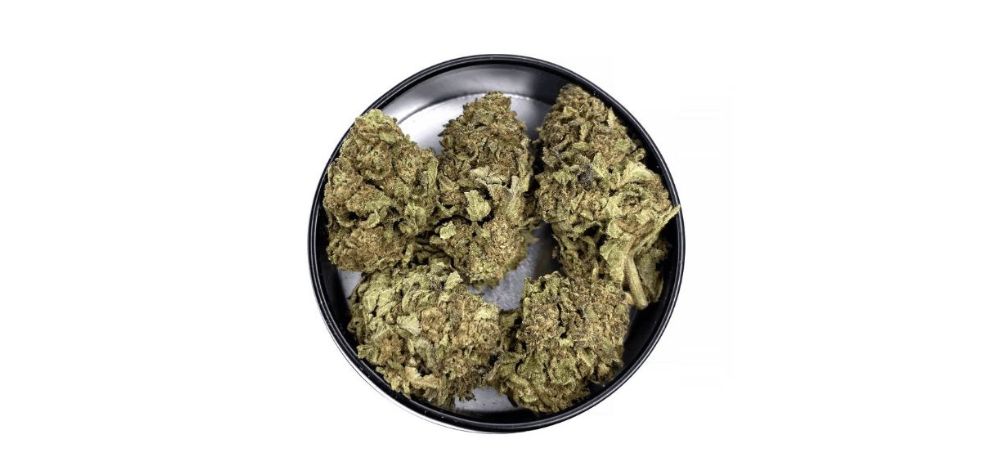 Reputable online weed dispensaries such as MMJExpress give you the flexibility to shop for any cannabis product from where you are in Canada, and we'll deliver it within no time. 