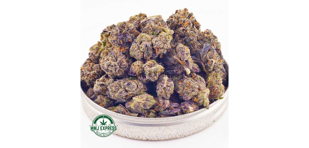 Mendocino Purps is one of the most classic purple strains of weed from the early 2000s. 