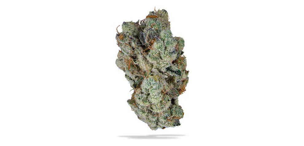 If this reminds you of you, you’ll love the Monkey Grease strain. This strain is so potent you’ll think you got smacked by Mike Tyson. 