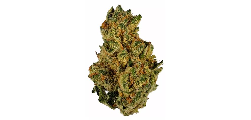 This highly sought-after powerhouse strain was created by Exotic Genetix, quickly becoming a staple in the BC cannabis scene.