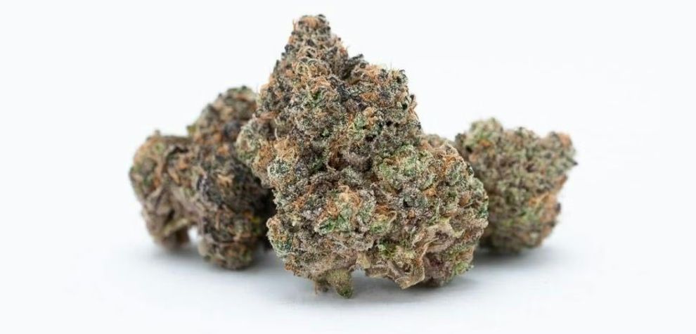 Are you looking to buy the best online weed in Canada? Get high-quality cannabis products at MMJ Express, the leading mail-order marijuana dispensary in the country.