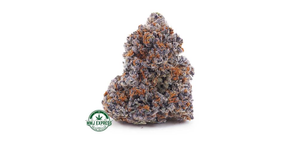 If you like potent purple weed, you’ll love Purple Haze, the famous sativa-dominant hybrid named after the 1967 Jimi Hendrix track. 