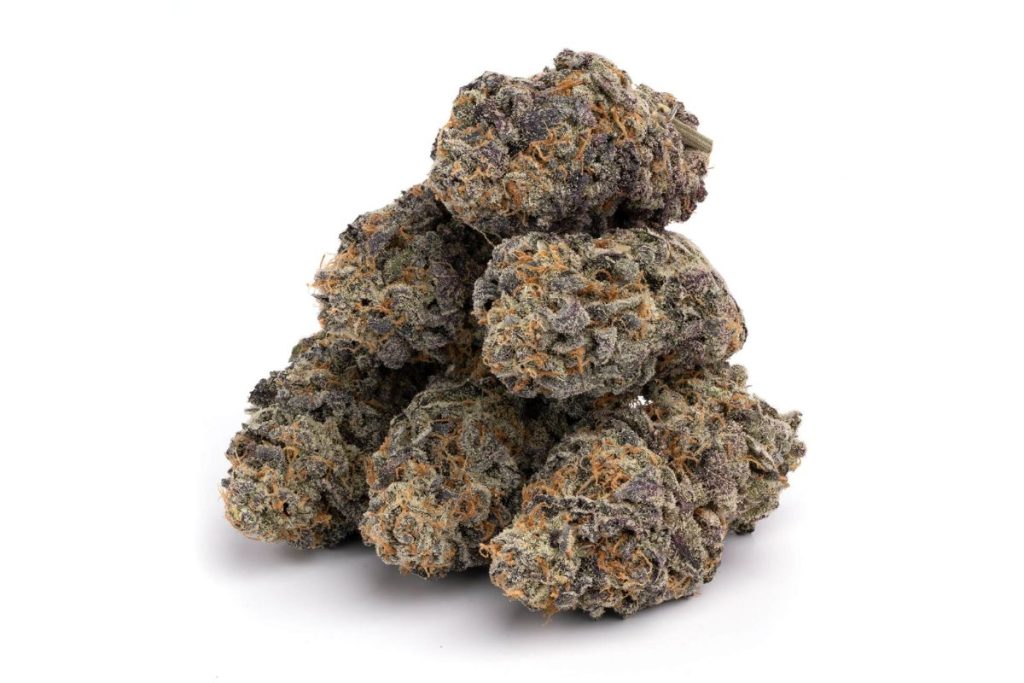 Purple Urkle is the legend you've been missing. Want to try out a flavourful Indica bud with an extra THC kick? Read this guide to learn more.