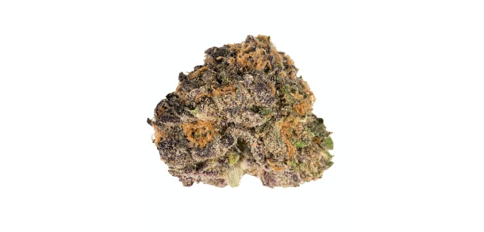 Looking to feast on something amazing with a unique aroma, flavour, and effects? Buy the Purple Urkle strain at MMJExpress and enjoy this powerhouse. 