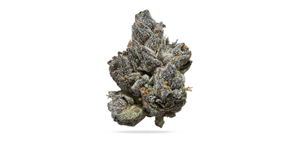 Purple Ukle weed will induce relaxing and euphoric effects with a mellow cerebral buzz. This quickly morphs into deep, physical relaxation, aka couchlock. 