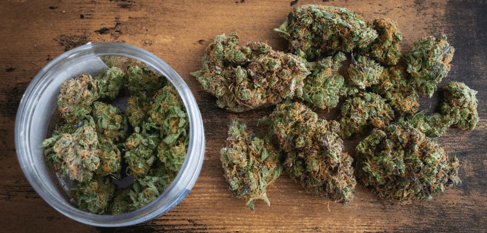 The most common way to define weed types is by their species: indica, sativa and hybrid. Different types of weed produce distinct effects and benefits.