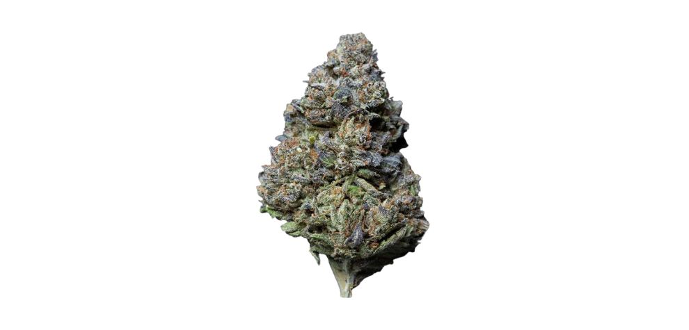 This is one of the rarest, well-balanced online weed in Canada. Supreme Kush Mints has a 50% to 50% indica to sativa split, making it one of the most sought-after strains among consumers who buy weed online in Canada.